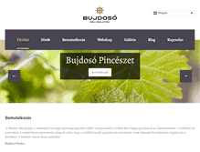 Tablet Screenshot of bujdoso.com